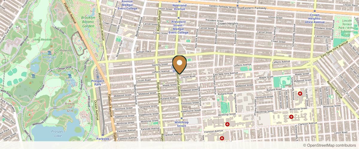 Map showing the exact location of Luxe Wellness and Aesthetics NYC at 1071 Nostrand Ave, Brooklyn, NY 11225, USA