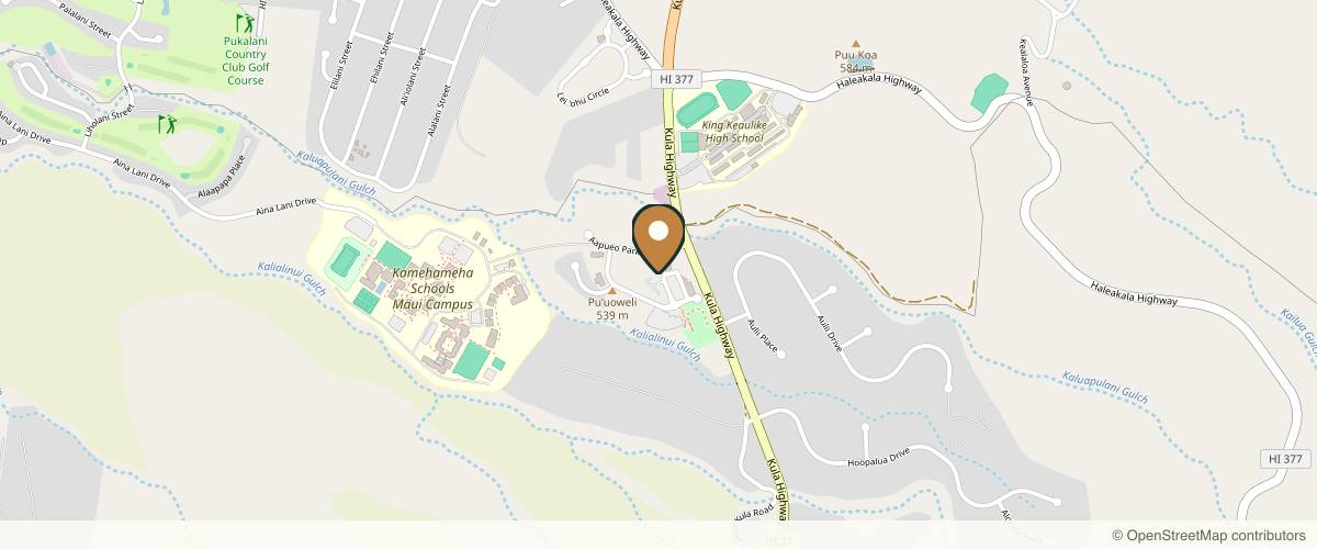 Map showing the exact location of Maui Skin Clinic - Ann Brewer, MD at 30 Kupaoa St A208, Makawao, HI 96768, USA