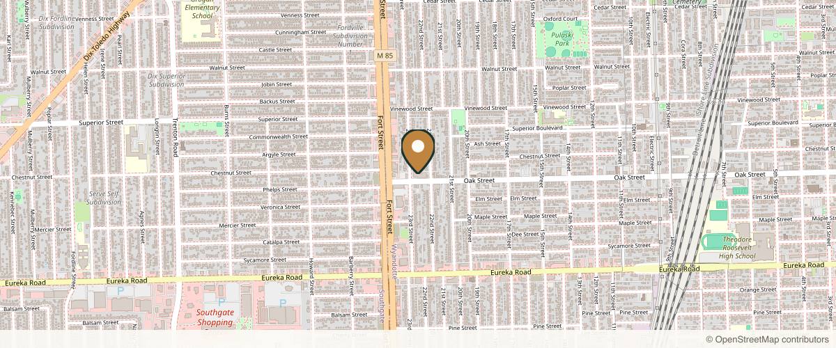 Map showing the exact location of Med 1 Aesthetics at Inside Kinergy Center, 2250 Oak St, Wyandotte, MI 48192, USA