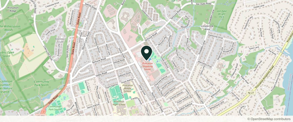 Map showing the exact location of Metropolis Spa & Salon at 301 N Harrison St, Princeton, NJ 08540, USA
