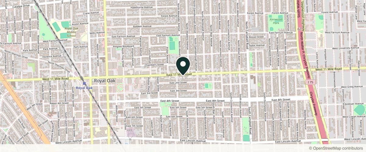Map showing the exact location of Michigan Advanced Aesthetics at 924 E 11 Mile Rd, Royal Oak, MI 48067, USA
