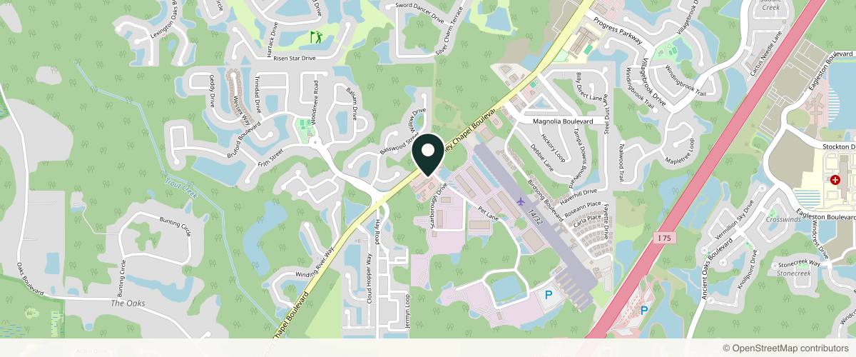 Map showing the exact location of Miraculous Health & Wellness at 26314 Wesley Chapel Blvd, Lutz, FL 33559, USA