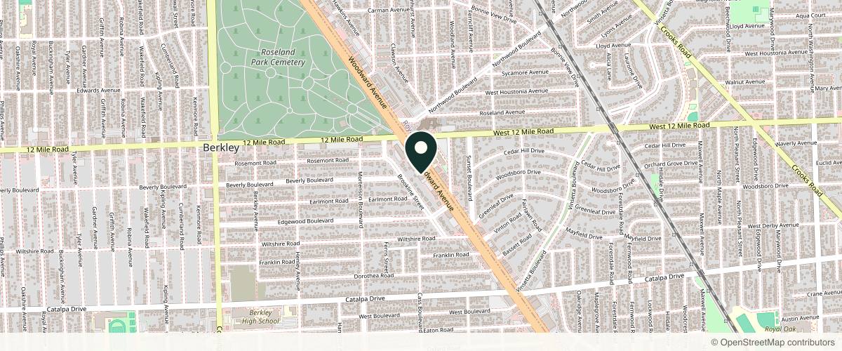 Map showing the exact location of Mosaic Luxury Medical Spa at 28903 Woodward Ave, Berkley, MI 48072, USA