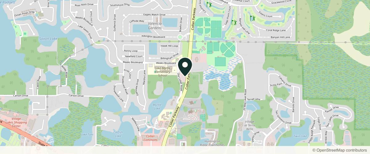 Map showing the exact location of Mynt Aesthetics at 23107 Tabak Ln, Land O' Lakes, FL 34639, USA