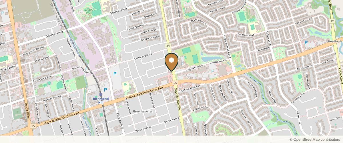Map showing the exact location of New You at 10066 Bayview Ave #7, Richmond Hill, ON L4C 0W5, Canada