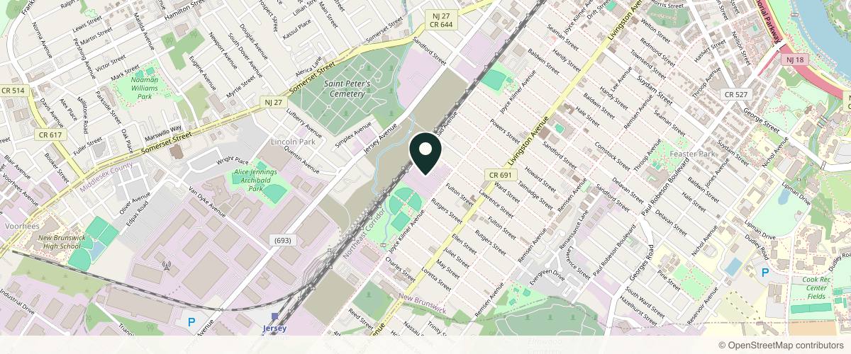 Map showing the exact location of Plastic Surgery Arts of New Jersey and Medspa at 409 Joyce Kilmer Ave #210, New Brunswick, NJ 08901, USA