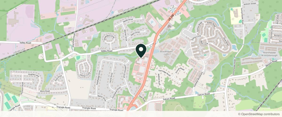 Map showing the exact location of Princeton Dermatology Associates at 307 Omni Dr, Hillsborough Township, NJ 08844