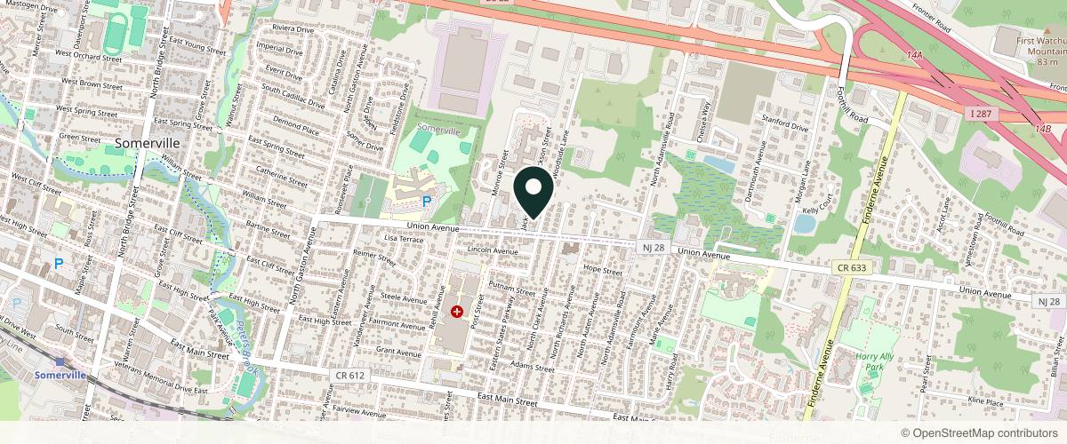 Map showing the exact location of PS Dermatology and Surgery at 245 Union Ave Ste 1A, Bridgewater, NJ 08807