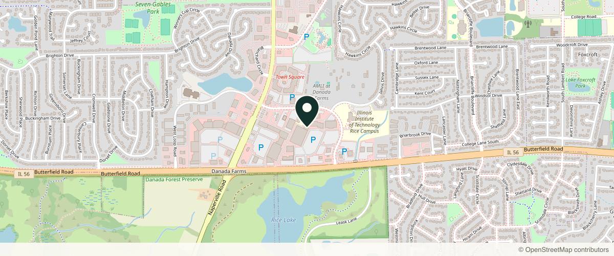Map showing the exact location of Radiance Skincare & Laser Medspa at 217 Rice Lake Square, Wheaton, IL 60189, USA