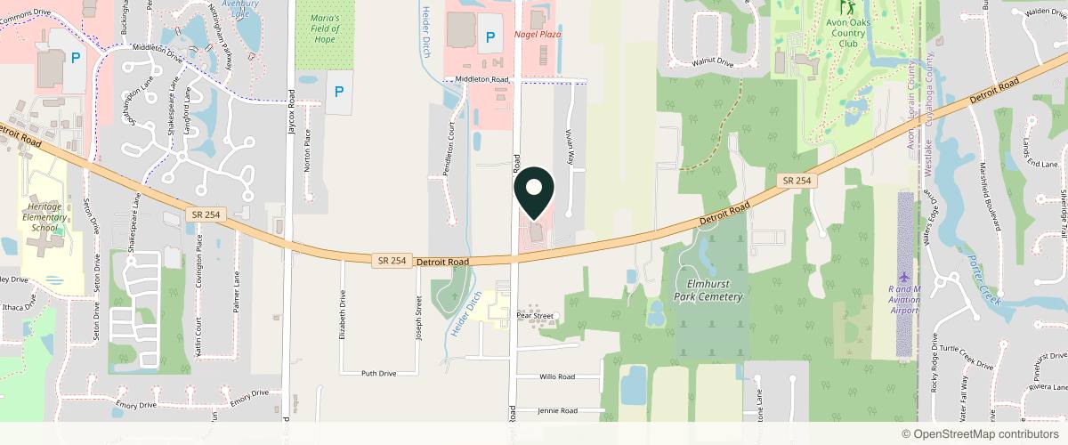Map showing the exact location of RADIANT DIVINE at 33568 Detroit Rd, Avon, OH 44011, USA