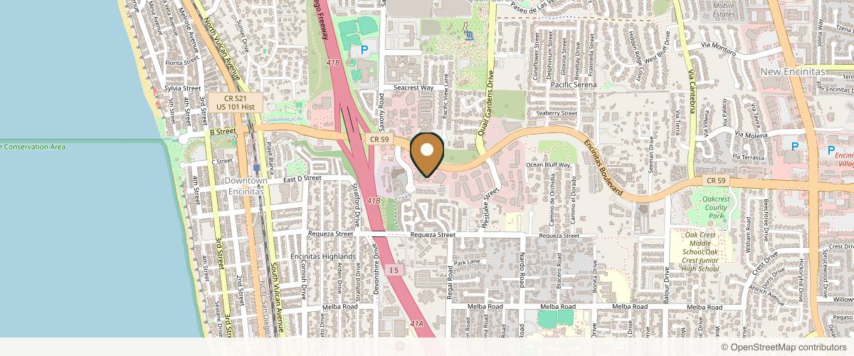 Map showing the exact location of REJUV Aesthetics & Wellness at 463 Encinitas Blvd, Encinitas, CA 92024, USA