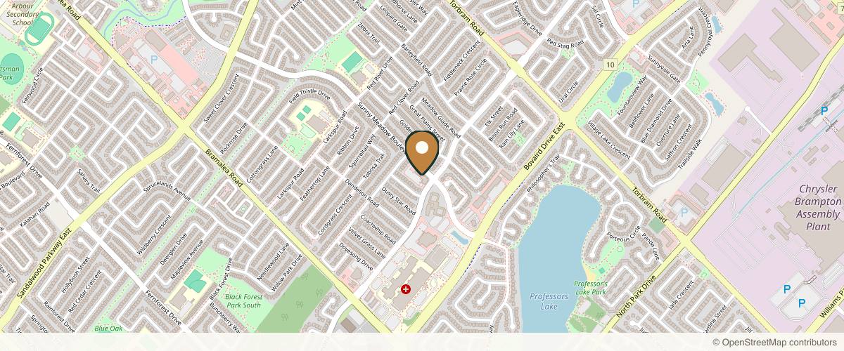 Map showing the exact location of Rejuva Medi Spa at 50 Sunny Meadow Blvd Unit 110, Brampton, ON L6R 0Y7, Canada