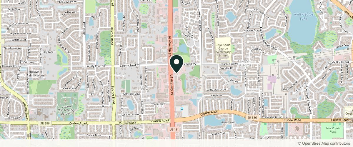 Map showing the exact location of Rejuve Health Plus at 31111 US-19, Palm Harbor, FL 34684, USA