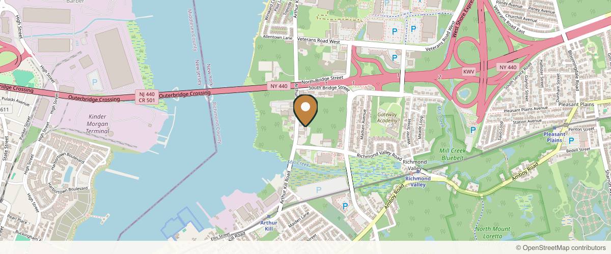 Map showing the exact location of Remedi Day Spa at 4906 Arthur Kill Rd, Staten Island, NY 10309, USA
