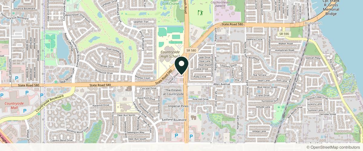 Map showing the exact location of Revive Medical Spa LLC. at 3090 Charles Ave, Clearwater, FL 33761, USA