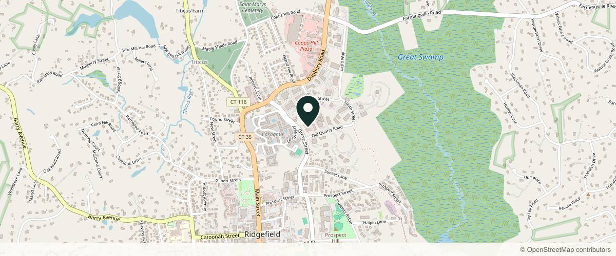 Map showing the exact location of Ridgefield Aesthetics at 66 Grove St #102-A, Ridgefield, CT 06877, USA