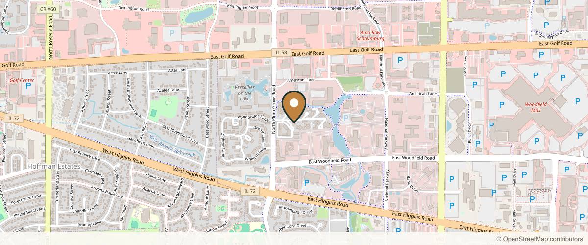 Map showing the exact location of Schaumburg Dermatology at 911 N Plum Grove Rd Ste A, Schaumburg, IL 60173, USA