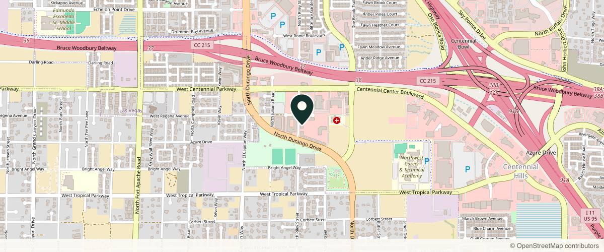 Map showing the exact location of Seamless Aesthetics at 6200 N Durango Dr #110, Las Vegas, NV 89149, USA