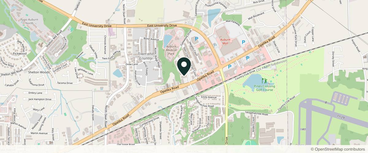 Map showing the exact location of Silk Massage Spa at 1345 Opelika Rd Ste 7, Auburn, AL 36830, USA