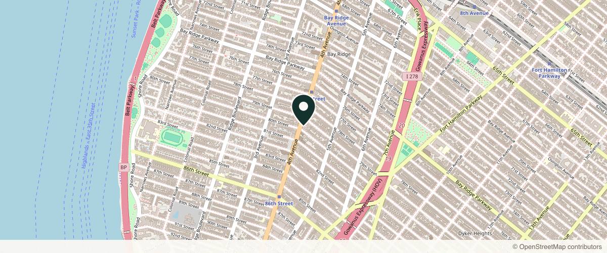 Map showing the exact location of SINY Dermatology & Cosmetic Surgery at 7901 4th Ave, Brooklyn, NY 11209