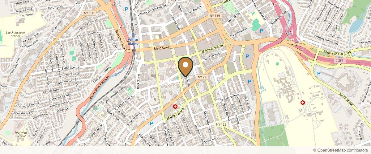 Map showing the exact location of Skin and Self at 150 Grand St Fl 5 Ste 500, White Plains, NY 10601, USA