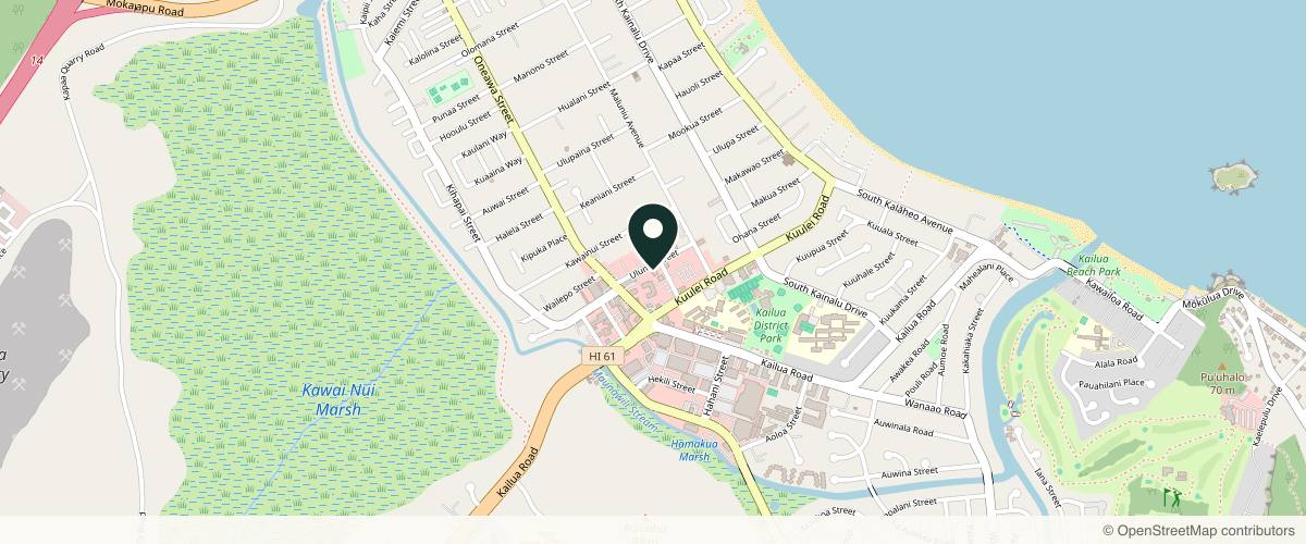 Map showing the exact location of Skin Theory at 407 Uluniu St #312, Kailua, HI 96734, USA