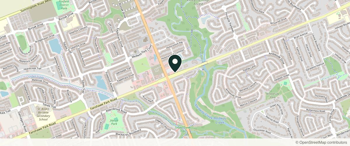 Map showing the exact location of Skin Vitality Medical Clinic London at 595 Fanshawe Park Rd W Unit F, London, ON N6G 5B3, Canada