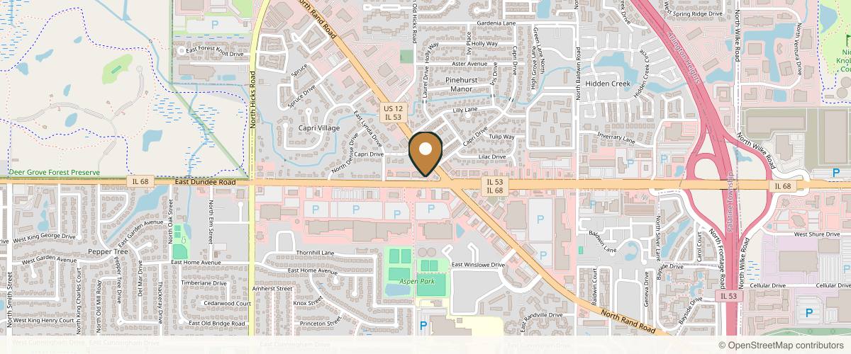 Map showing the exact location of SkinLab MedSpa at 786 E Dundee Rd, Palatine, IL 60074, USA