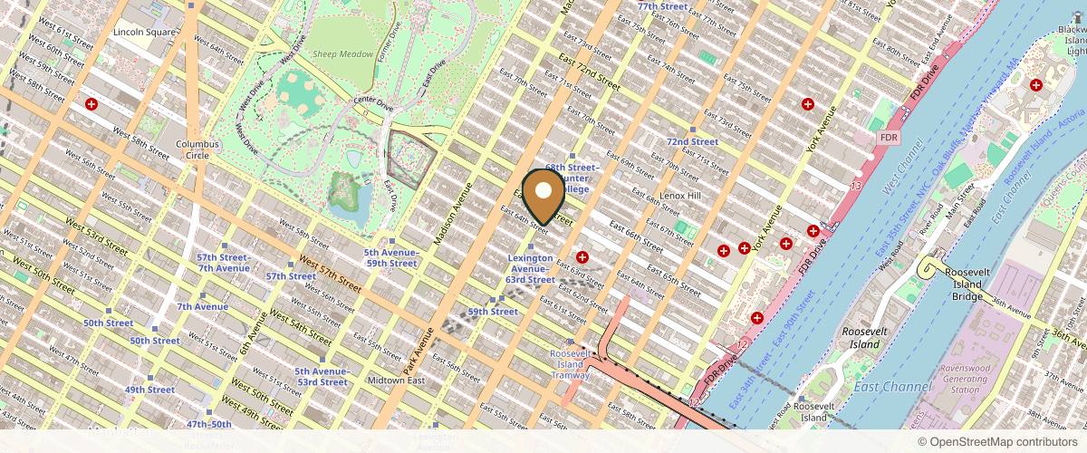 Map showing the exact location of Skinly Aesthetics at 157 E 64th St 2nd floor, New York, NY 10065, USA