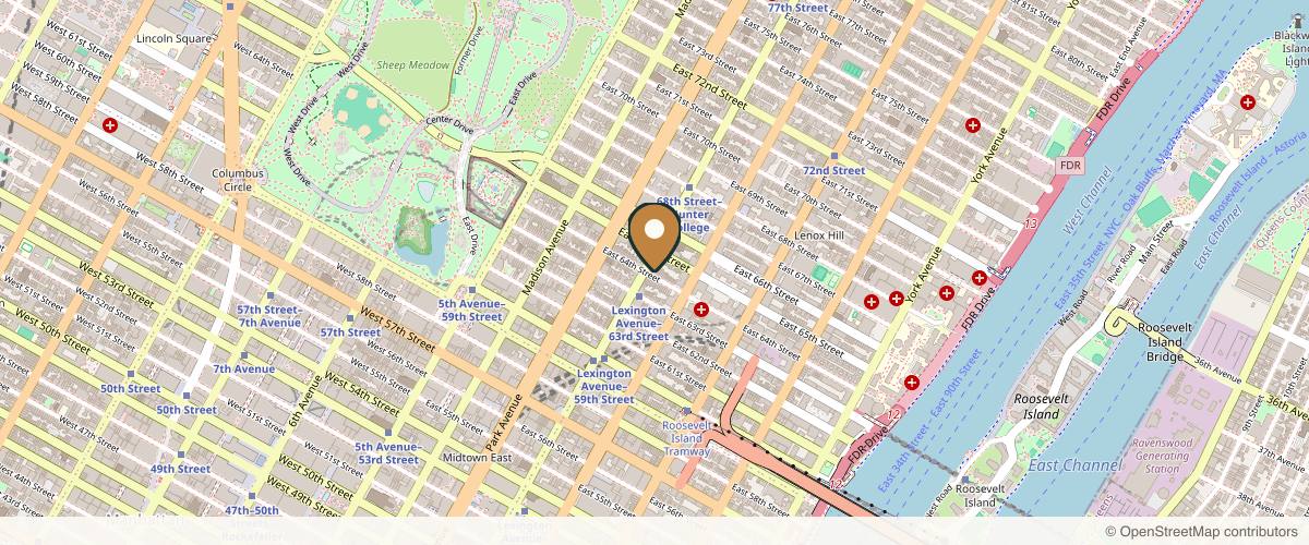 Map showing the exact location of Skinly Aesthetics at 157 E 64th St 2nd floor, New York, NY 10065, USA