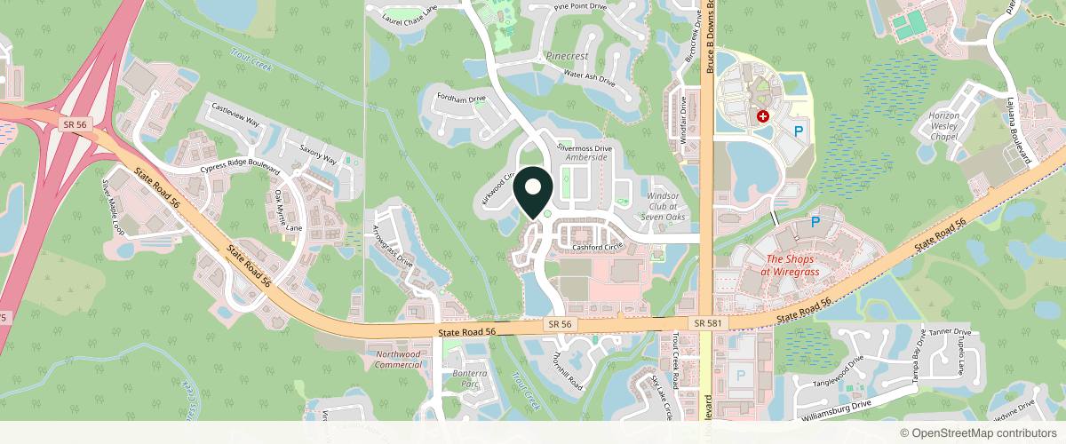 Map showing the exact location of SOHO Wellness & Med Spa | Wesley Chapel at 2008 Ashley Oaks Cir, Wesley Chapel, FL 33544, USA