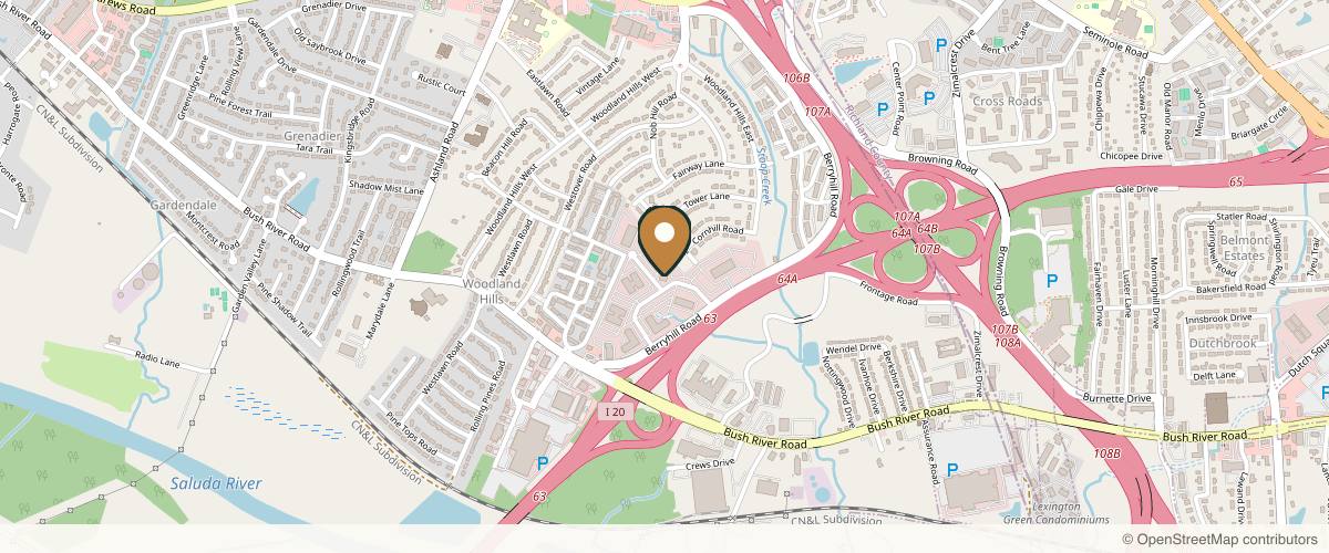 Map showing the exact location of Southeastern Health & Wellness Institute at 201 Executive Center Dr Suite 300, Columbia, SC 29210, USA