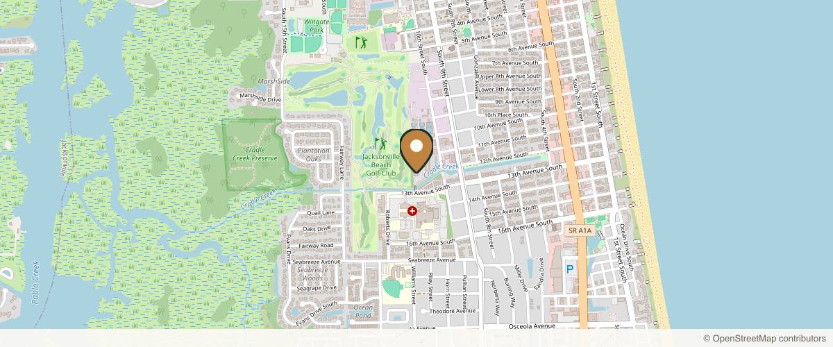 Map showing the exact location of Studio Lana at 1361 13th Ave S Ste 130, Jacksonville Beach, FL 32250, USA