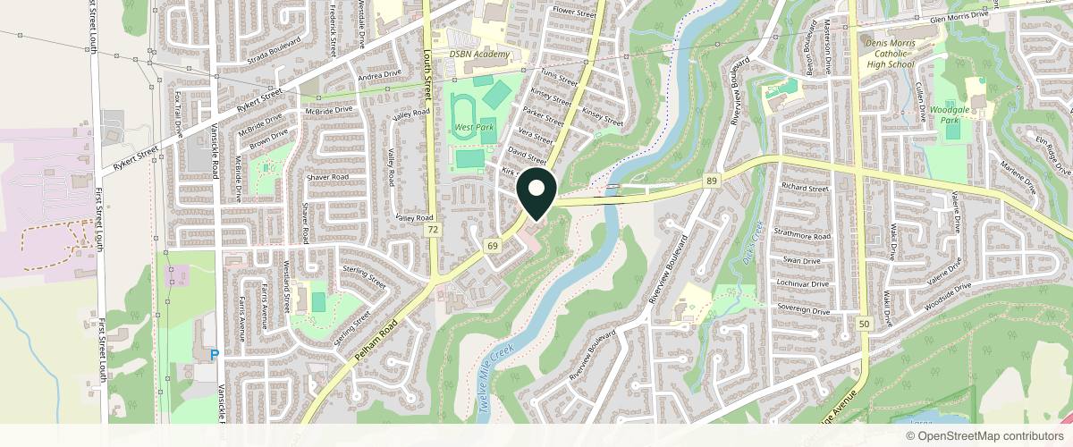Map showing the exact location of Suspending Time Medical Aesthetics at 245 Pelham Rd Ste 205, St. Catharines, ON L2S 1X8, Canada