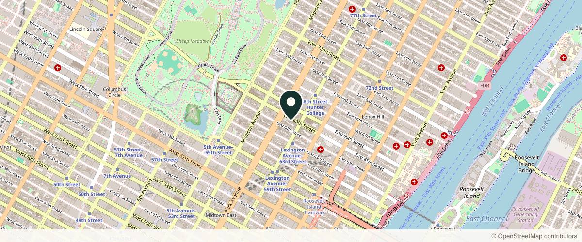 Map showing the exact location of The Brightwood Skin at 120 E 65th St, New York, NY 10065, USA