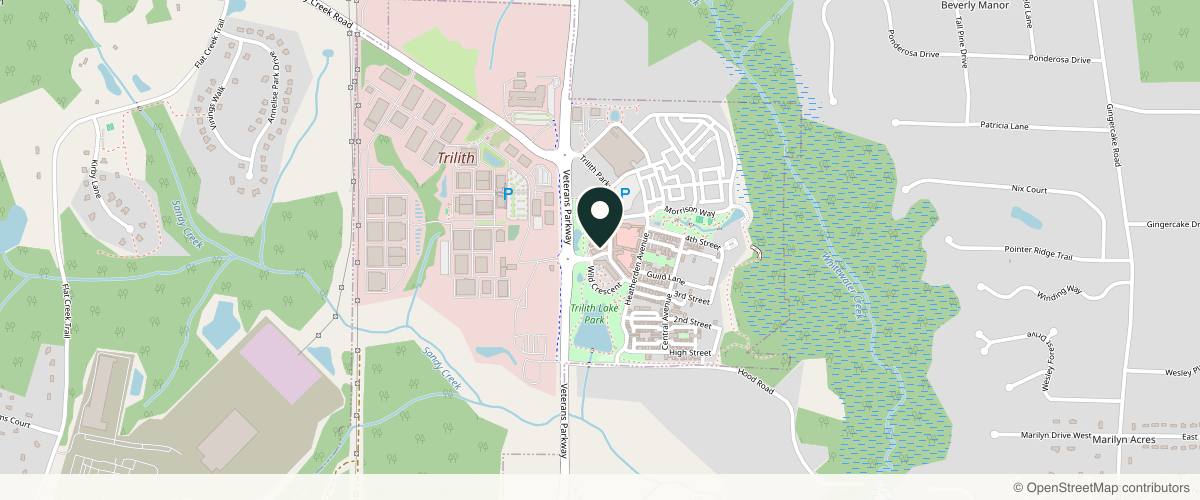 Map showing the exact location of The Skin Society at 300 Trilith Pkwy Ste 215, Fayetteville, GA 30214, USA
