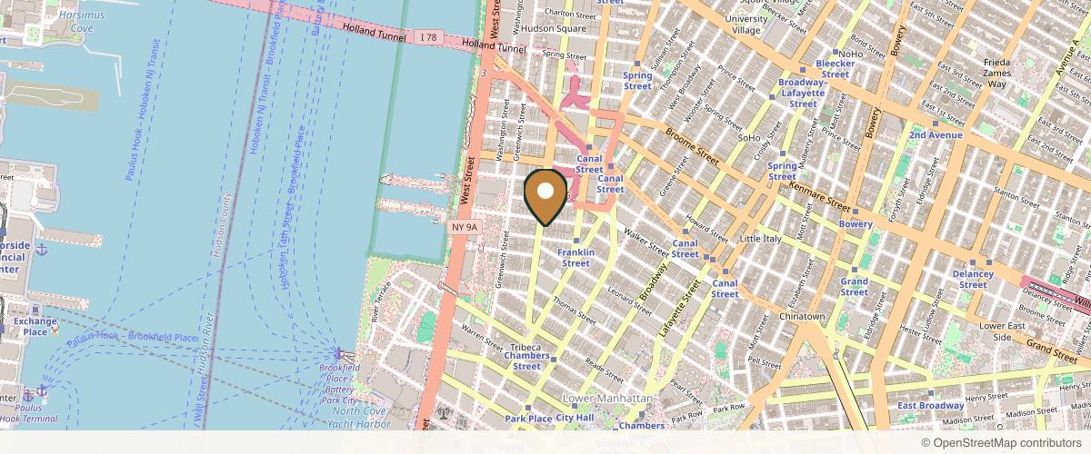 Map showing the exact location of Tribeca Medspa at 114 Hudson St, New York, NY 10013, USA
