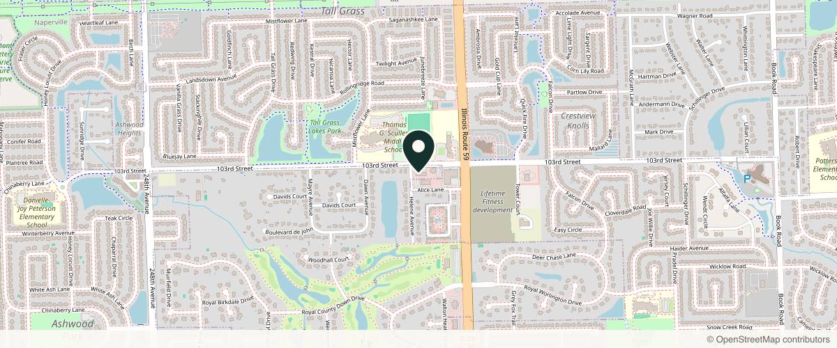 Map showing the exact location of true MEDSPA at 24115 103rd St, Naperville, IL 60564, USA