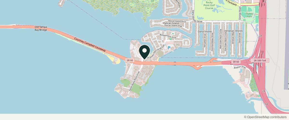 Map showing the exact location of Vein & Cosmetic Center of Tampa Bay at 3001 N Rocky Point Dr E Ste 125, Tampa, FL 33607, USA