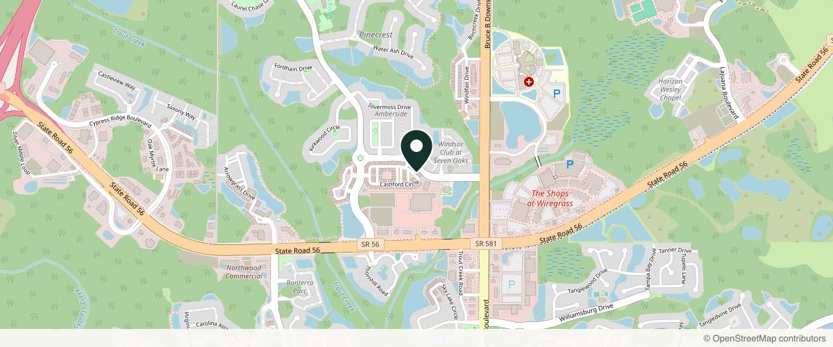 Map showing the exact location of Viva Aesthetics & Wellness at 27716 Cashford Cir #102, Wesley Chapel, FL 33544, USA