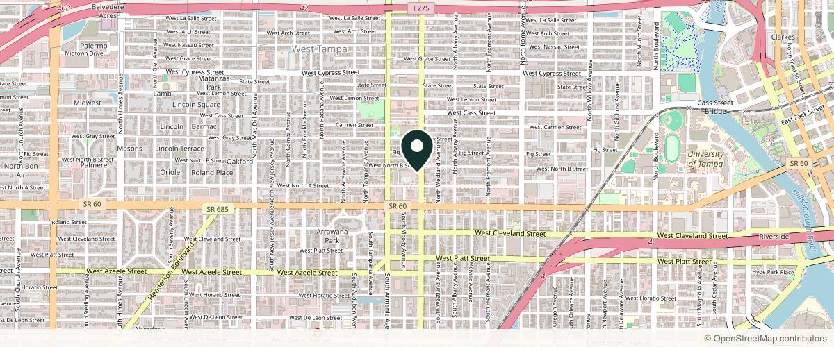Map showing the exact location of Wellness World Medical at 214 N Howard Ave, Tampa, FL 33606, USA