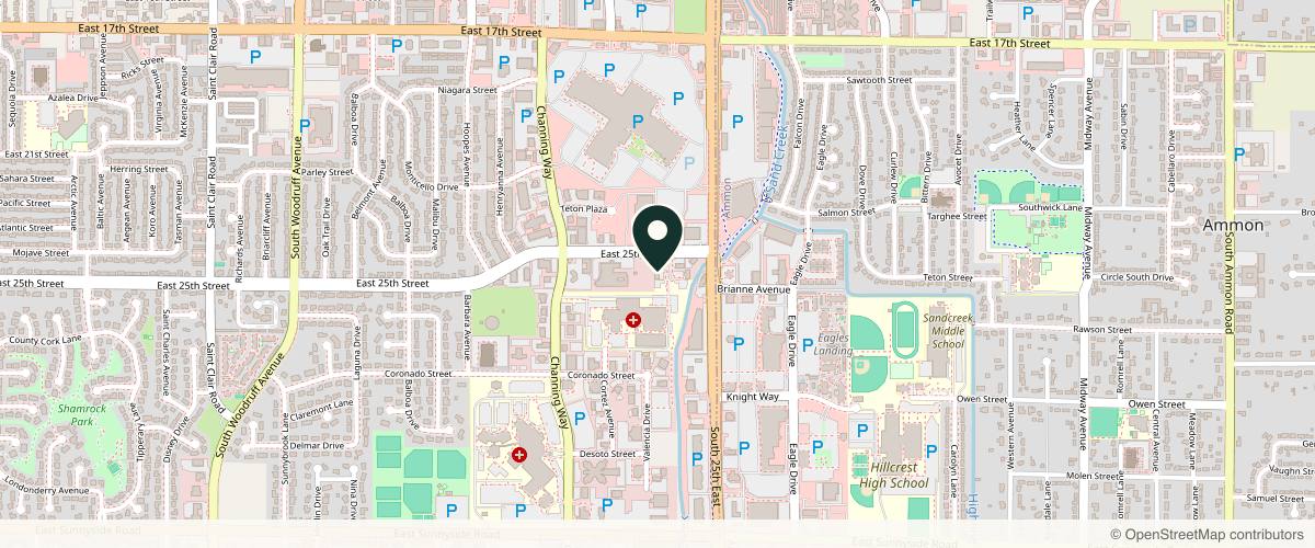 Map showing the exact location of Wholesome Health & Aesthetics at 2410 E 25th Cir, Idaho Falls, ID 83404, USA