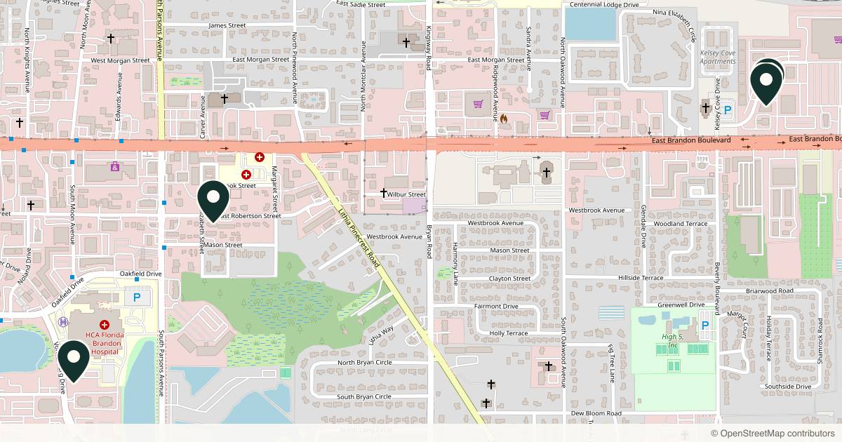 Map of 5 plastic surgery practices in Brandon, Florida