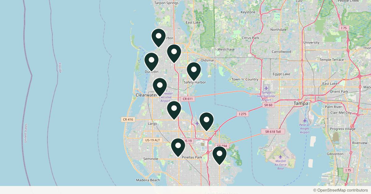 Map of 9 plastic surgery practices in Clearwater, Florida