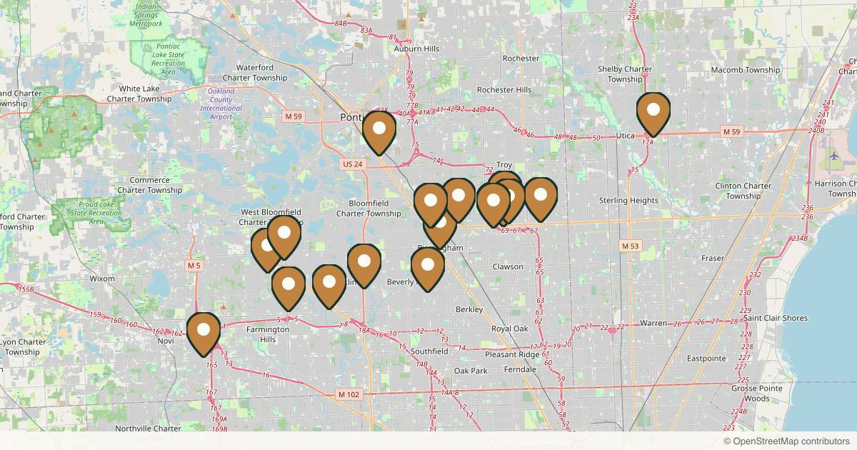 Map of 20 plastic surgery practices in Detroit, Michigan
