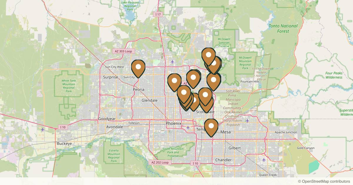 Map of 26 plastic surgery practices in Phoenix, Arizona