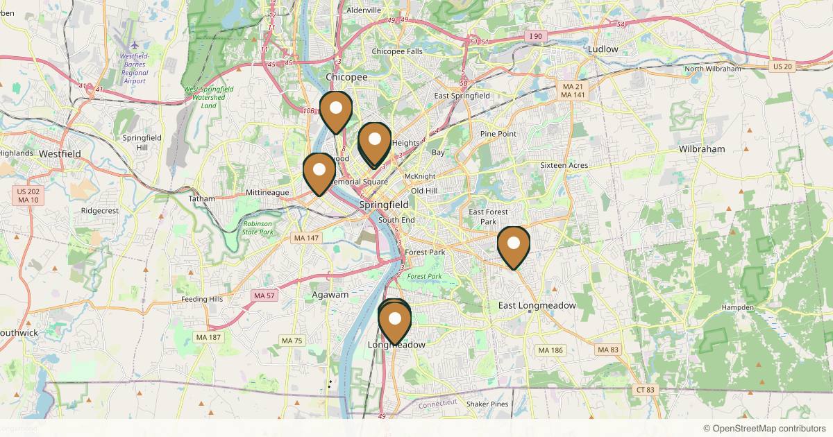 Map of 8 plastic surgery practices in Springfield, Massachusetts