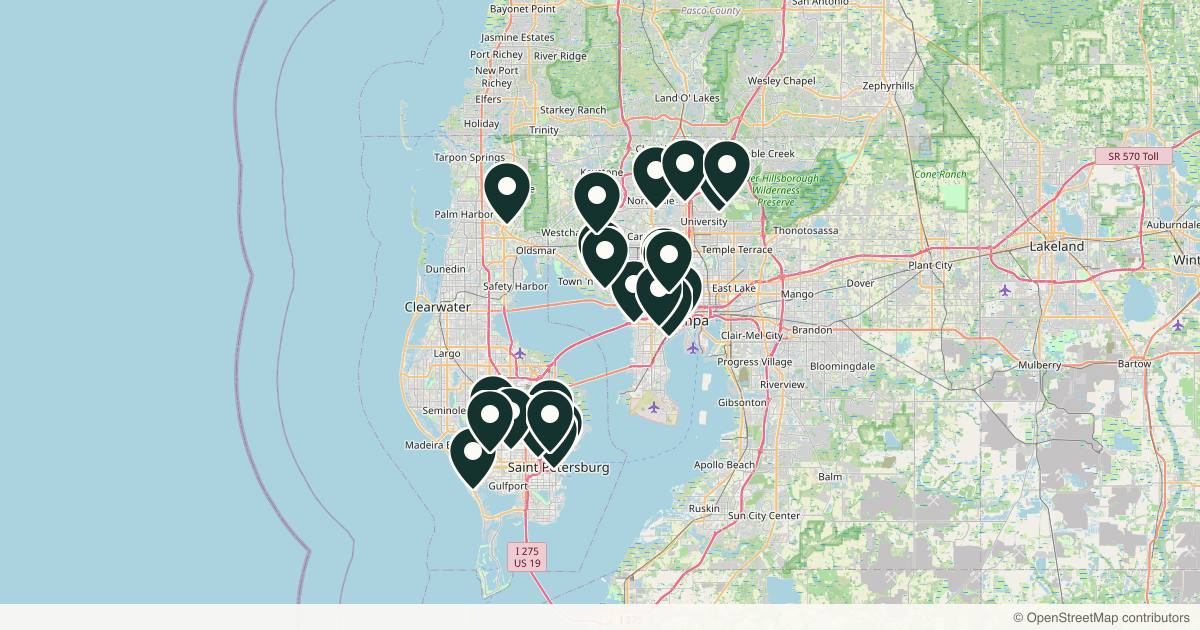 Map of 27 dermatology practices in Tampa, Florida