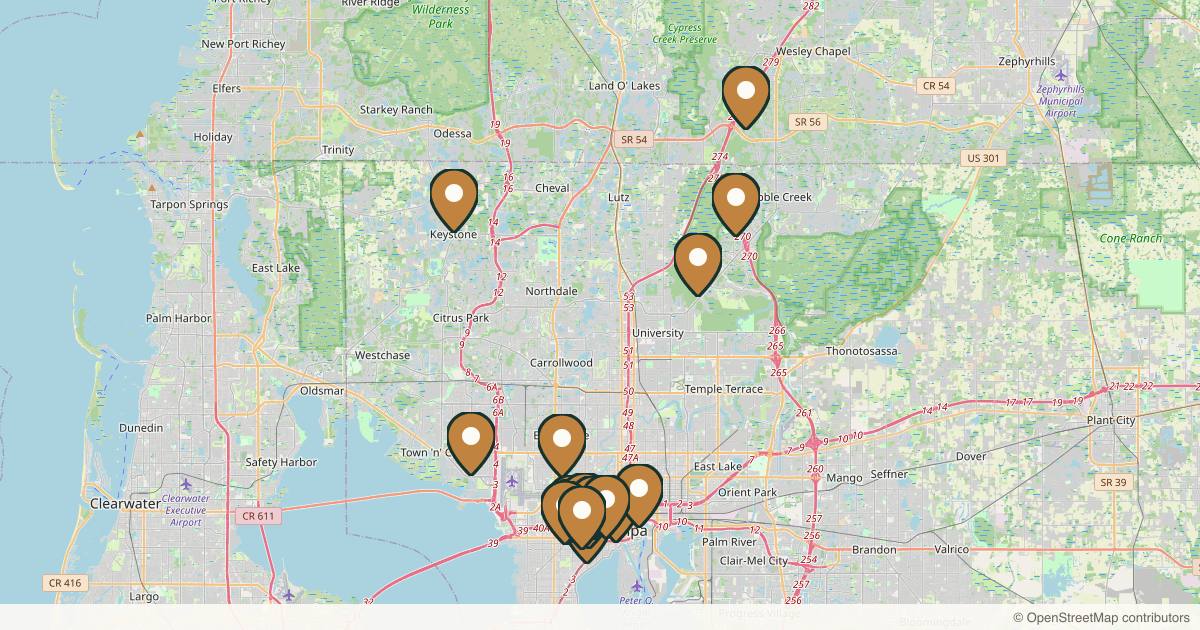 Map of 19 plastic surgery practices in Tampa, Florida