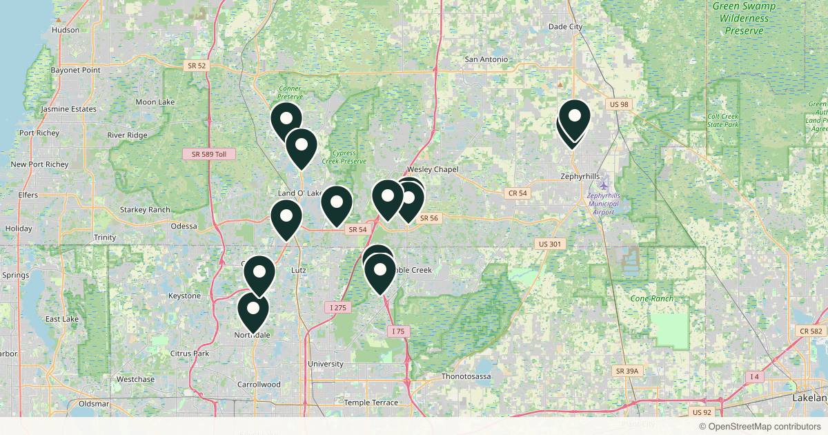 Map of 13 dermatology practices in Wesley Chapel, Florida